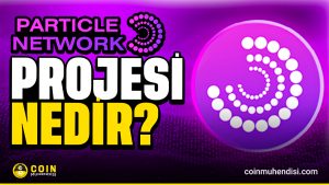 Particle Network Nedir Ne İşe Yarar