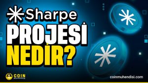 Sharpe-AI-Nedir,-Ne-İşe-Yarar