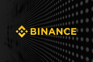 Binance Eurite EURI