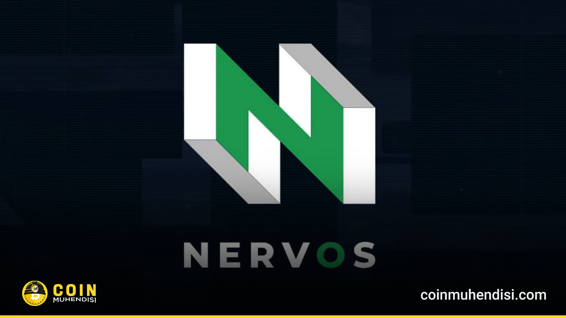 Ckb coin (99) 사진