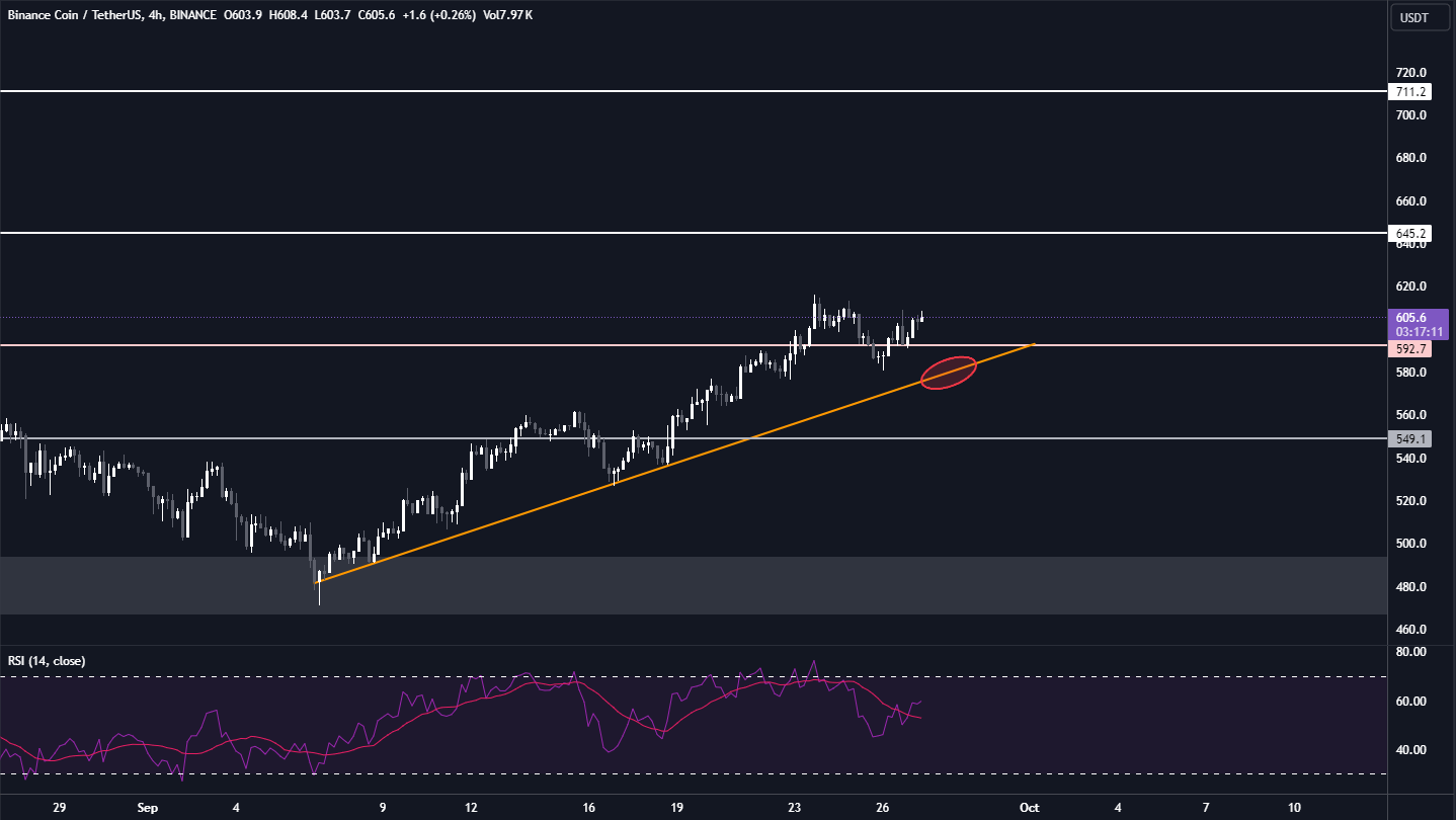 BNB Coin günlük grafik analizi