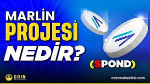 Pond Coin Nedir?