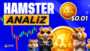 Hamster Coin Listelelendi! HMSTR Coin Grafik ve Fiyat İncelemesi!