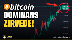 Bitcoin Dominance Fiyatı Zirvede! Fiyat Analizi!