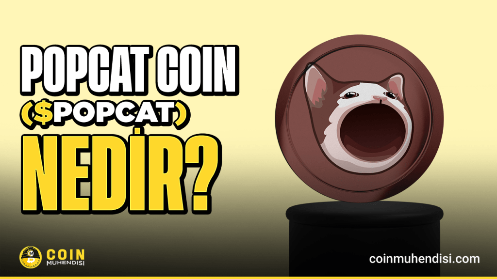 Popcat (POPCAT) Nedir? Solana Tabanlı Memecoin!