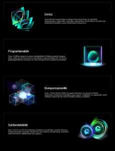 Cetus Protocol