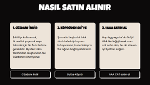 AAACAT Nasıl alınır