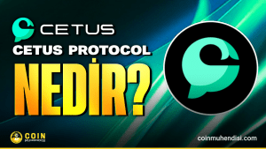 cetus protocol