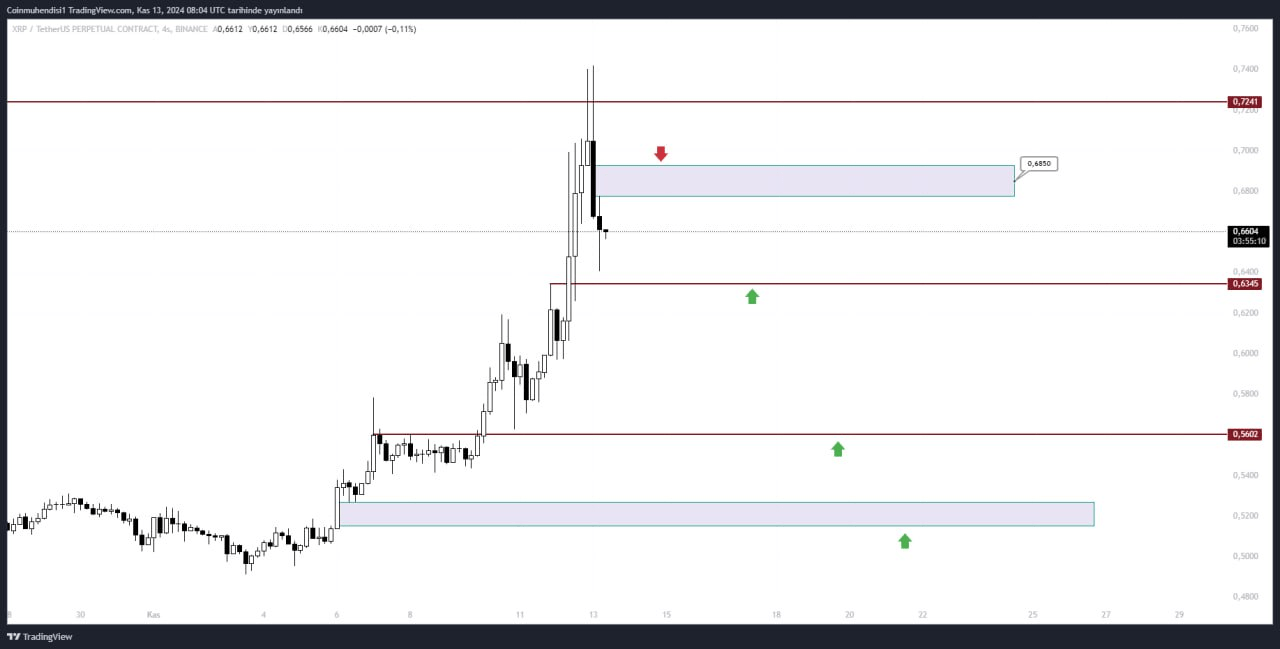 Ripple XRP fiyat grafiği