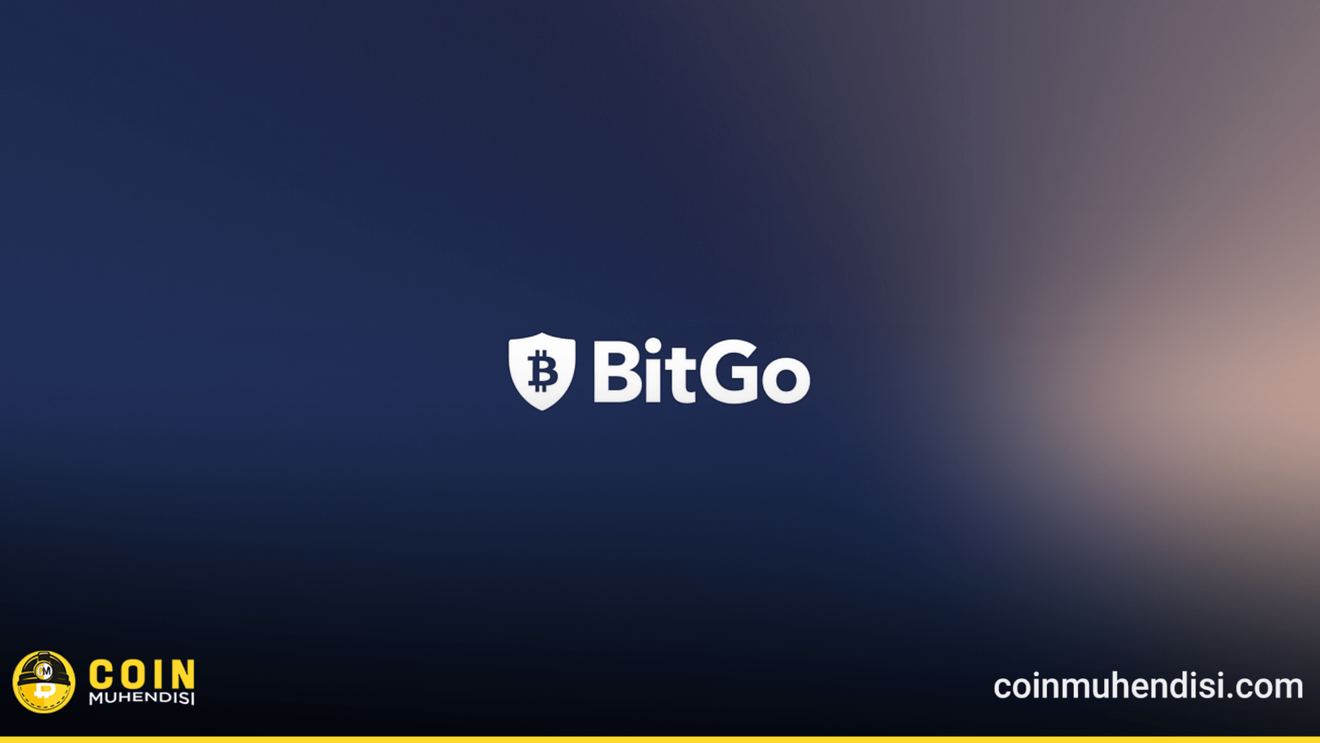 BitGo, Stablecoin İşini Denetlemek İçin Eski Başkanı Göreve Getirdi ...