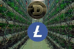 Dogecoin, Litecoin