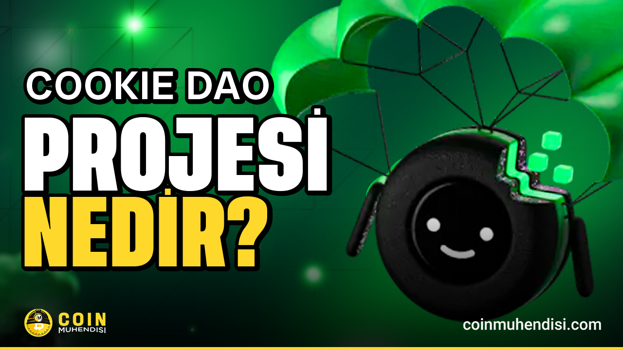 COOKİE DAO PROJESİ NEDİR