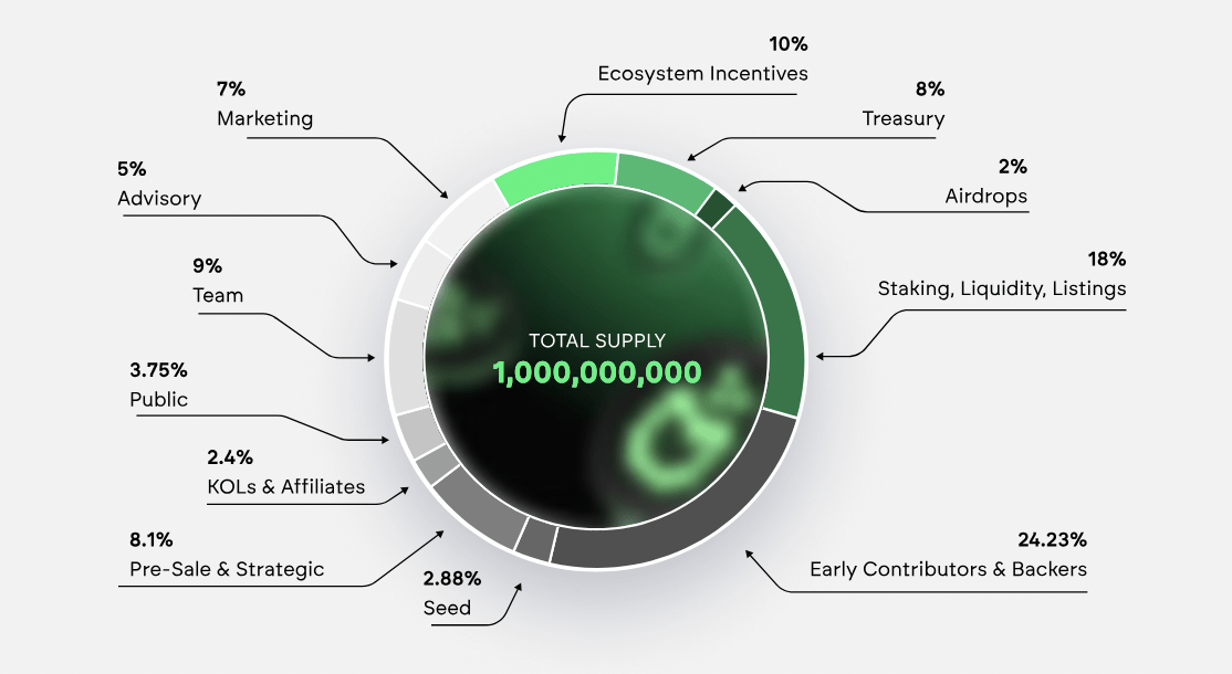 COOKIE tokenomik