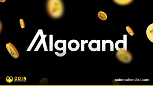 algorand