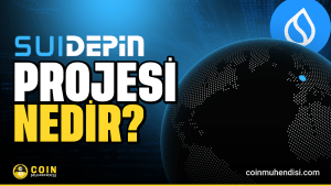 suidepin projesi nedir