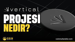 vertical projesi nedir