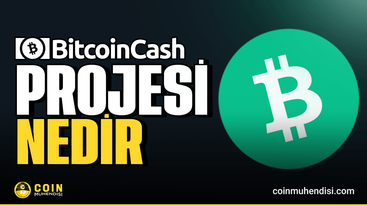 Bitcoin Cash (BCH) Nedir? - Coin Mühendisi