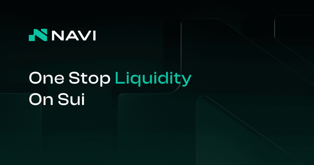 navi protocol