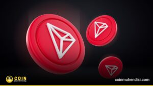 TRON ve PLASMA stablecoin giriş çıkış grafiği