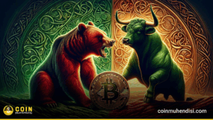 Bitcoin ve kripto piyasası ayı-boğa analizi