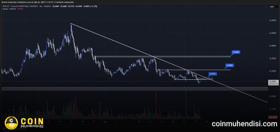 popcat teknik görünüm