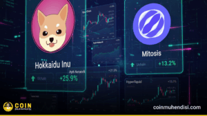 türkiye altcoin arama