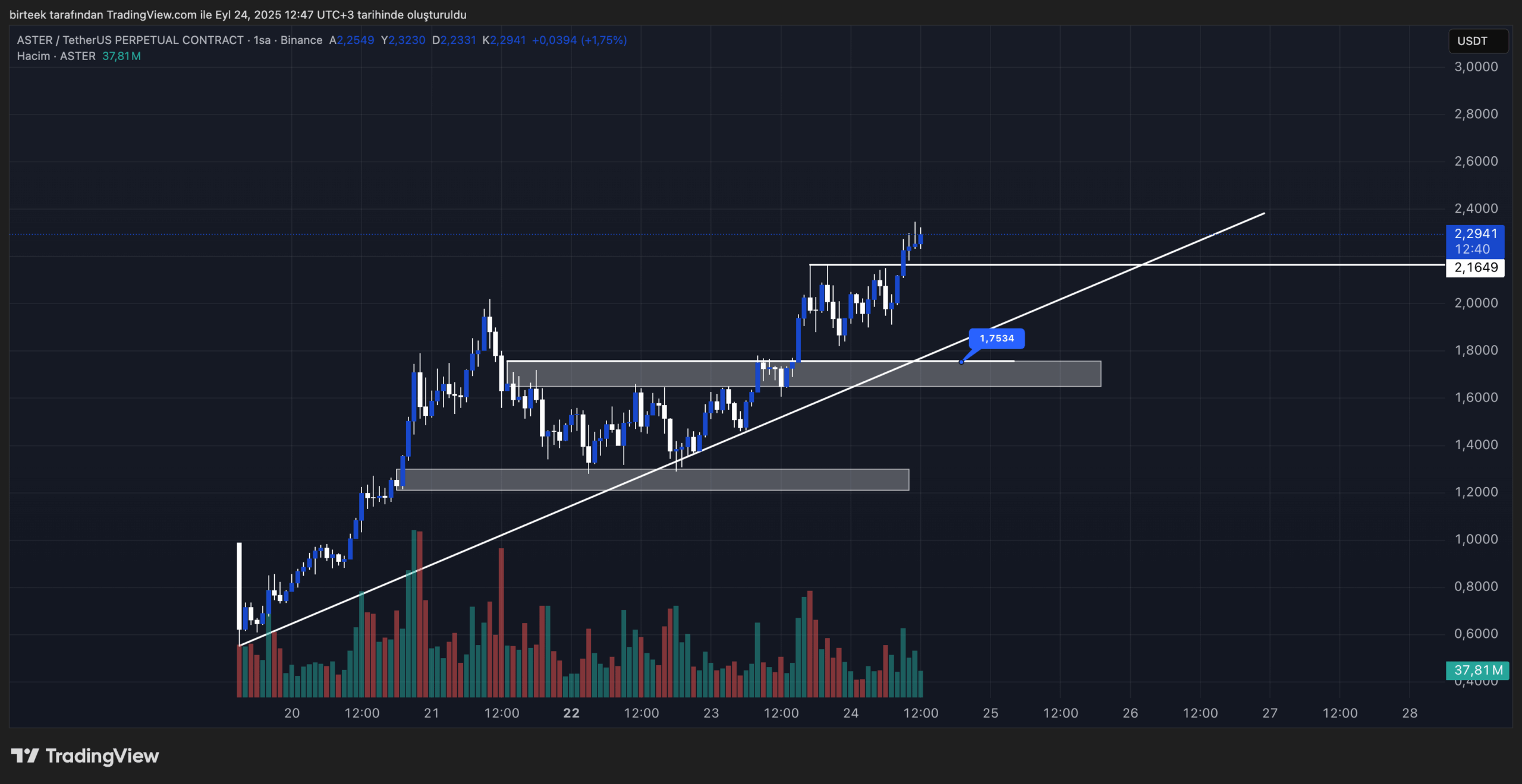 aster teknik görünüm