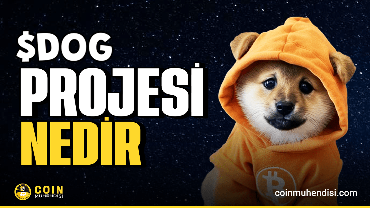 Dog (Bitcoin) (DOG) Nedir? - Coin Mühendisi