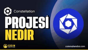 Constellation DAG Yol Haritası, DAG Tokenomik