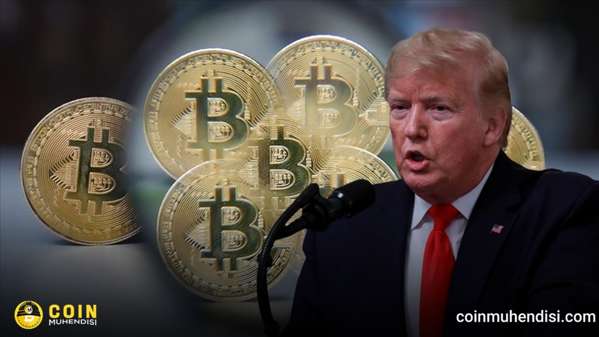Trump Bitcoin BTC