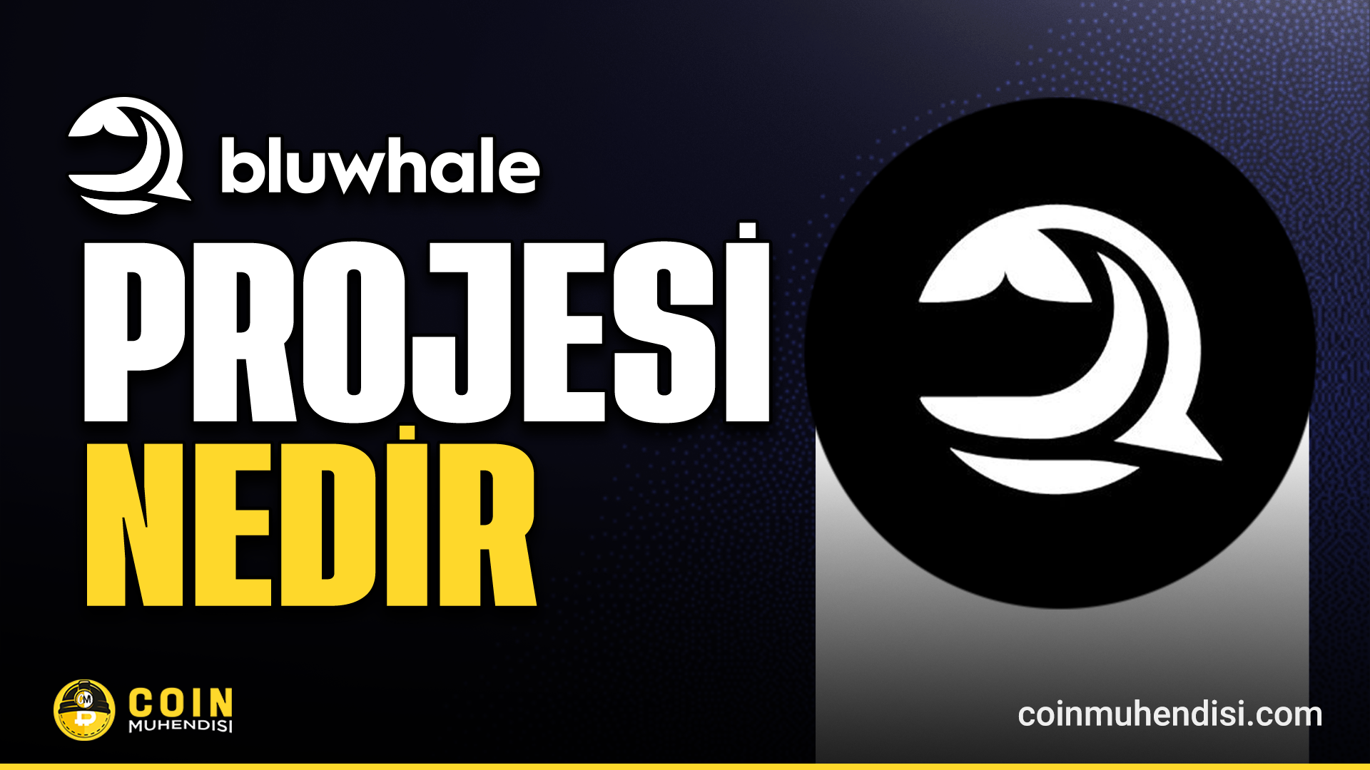 Bluwhale (BLUAI) Nedir? - Coin Mühendisi