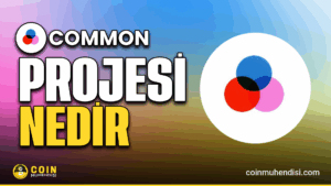 Common Protocol ve COMMON token ekosistem ve döngüler
