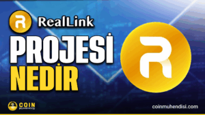 RealLink Web3 Social-Fi ekosistem görseli