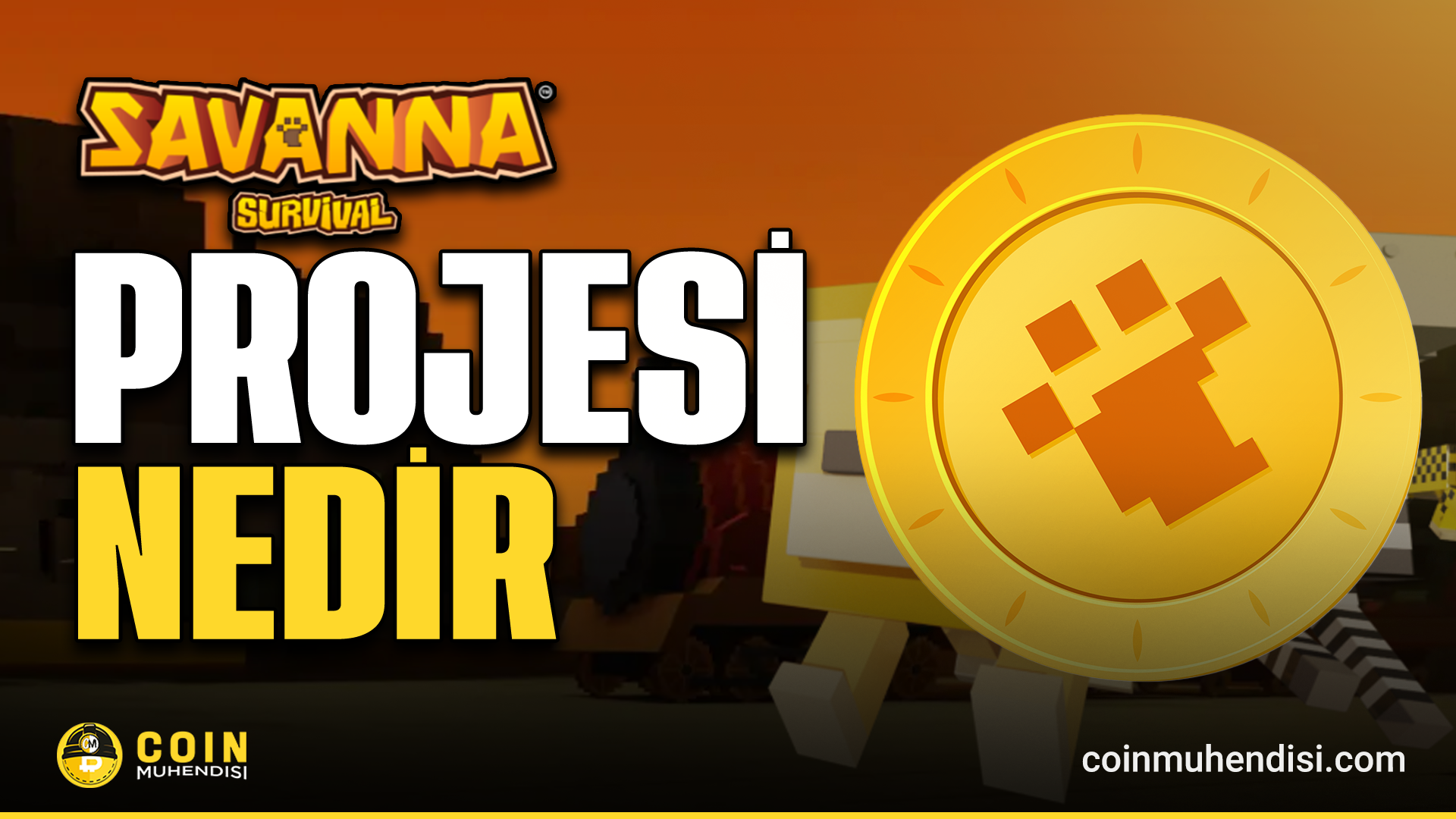 Front Svsa SavannaSurvival (SVSA) Nedir? - Coin Mühendisi