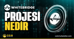 WhiteBridge Network Tanıtımı