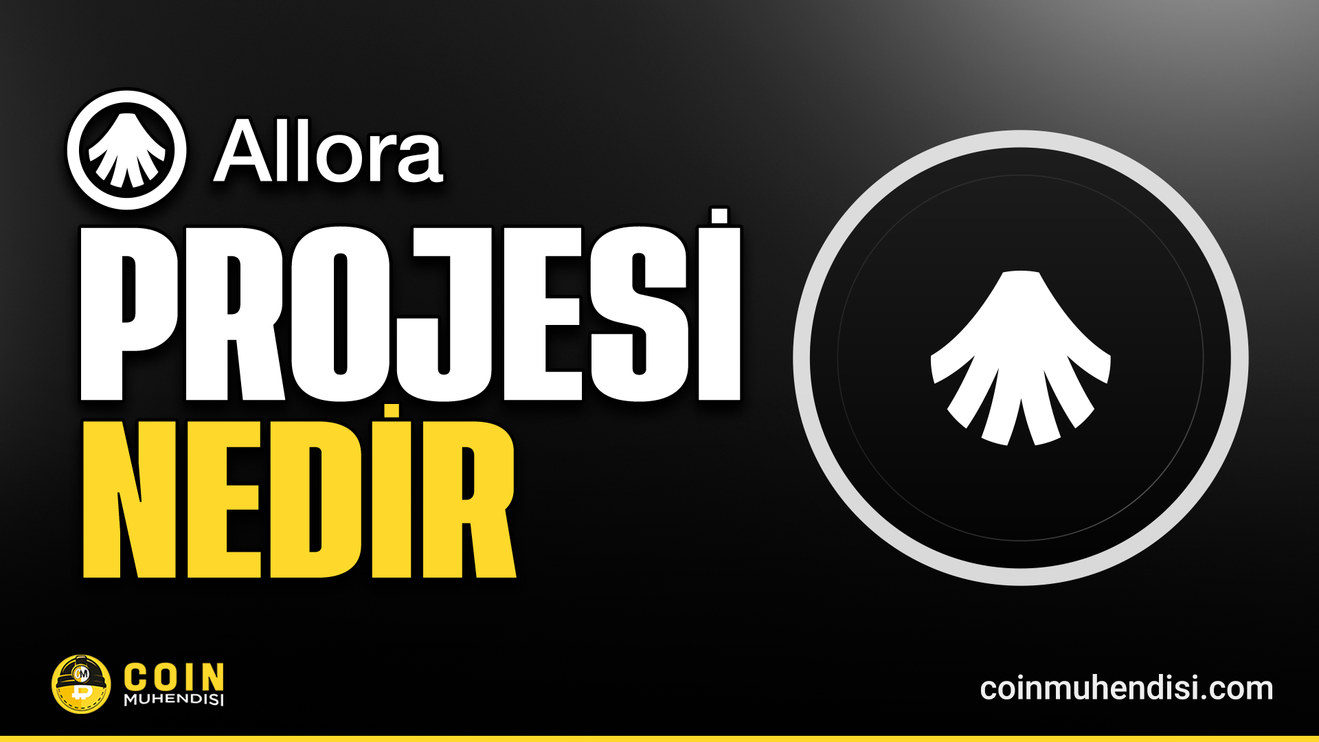 Allora (ALLO) Nedir? - Coin Mühendisi