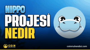 Sudeng HIPPO memecoin on Sui blockchain