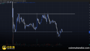 wlfi teknik görünüm