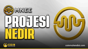 MNEE hızlı stablecoin ödemesi