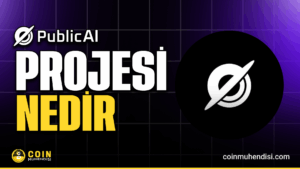 publicai nedir, public