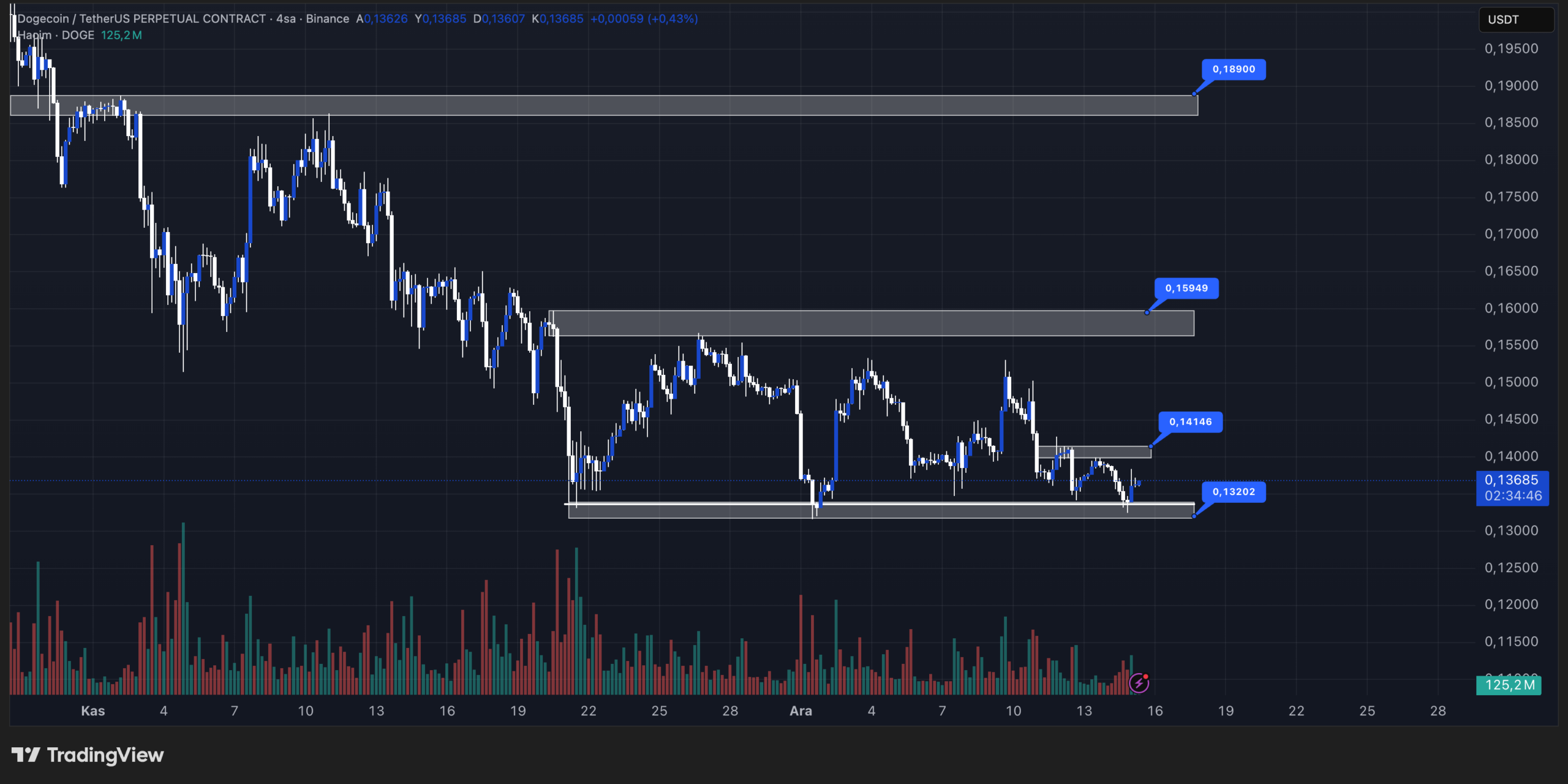 doge teknik görünüm