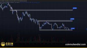 doge teknik görünüm