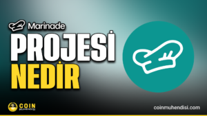 Marinade MNDE token dağılımı görseli