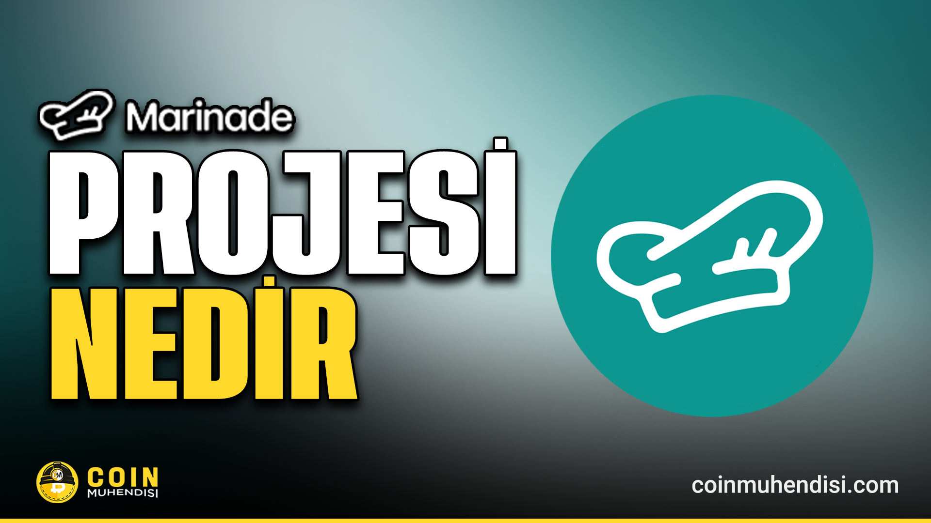 Marinade MNDE token dağılımı görseli