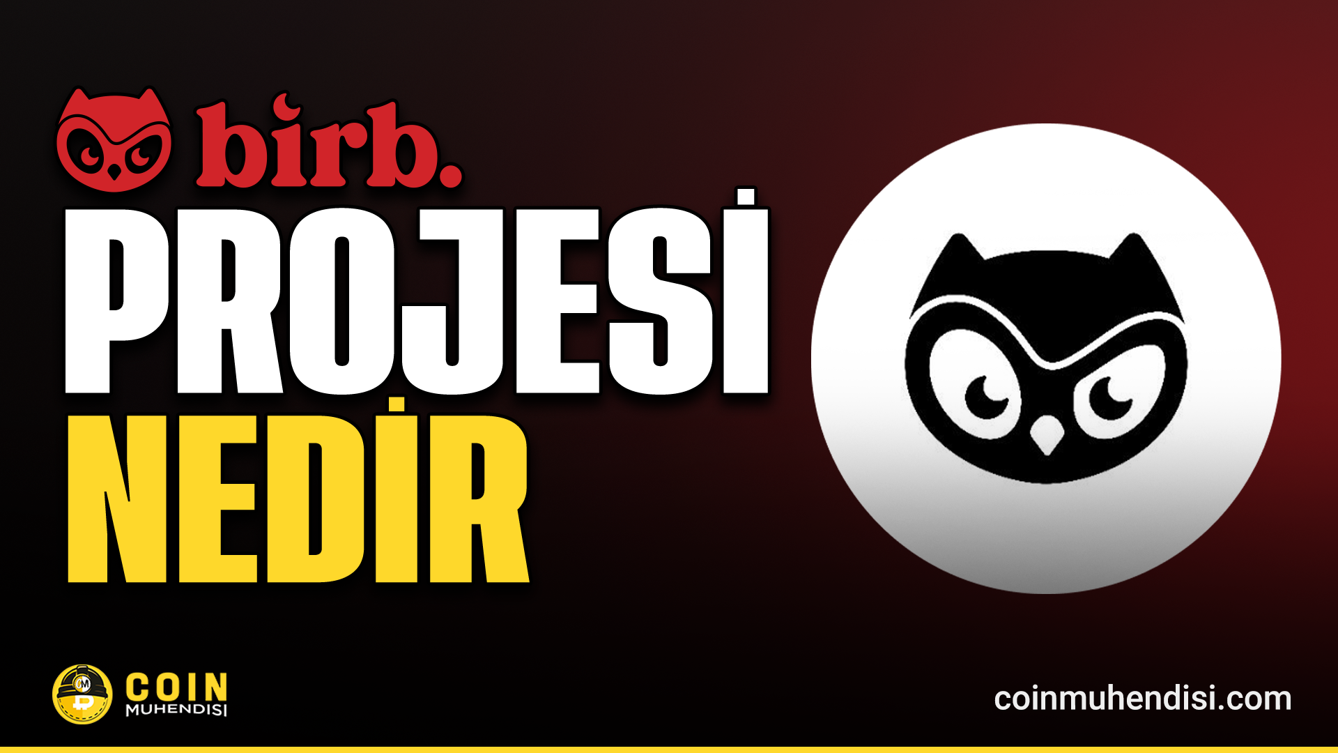 Moonbirds NFT projesi ve BIRB ekosisteminin genel yapısı