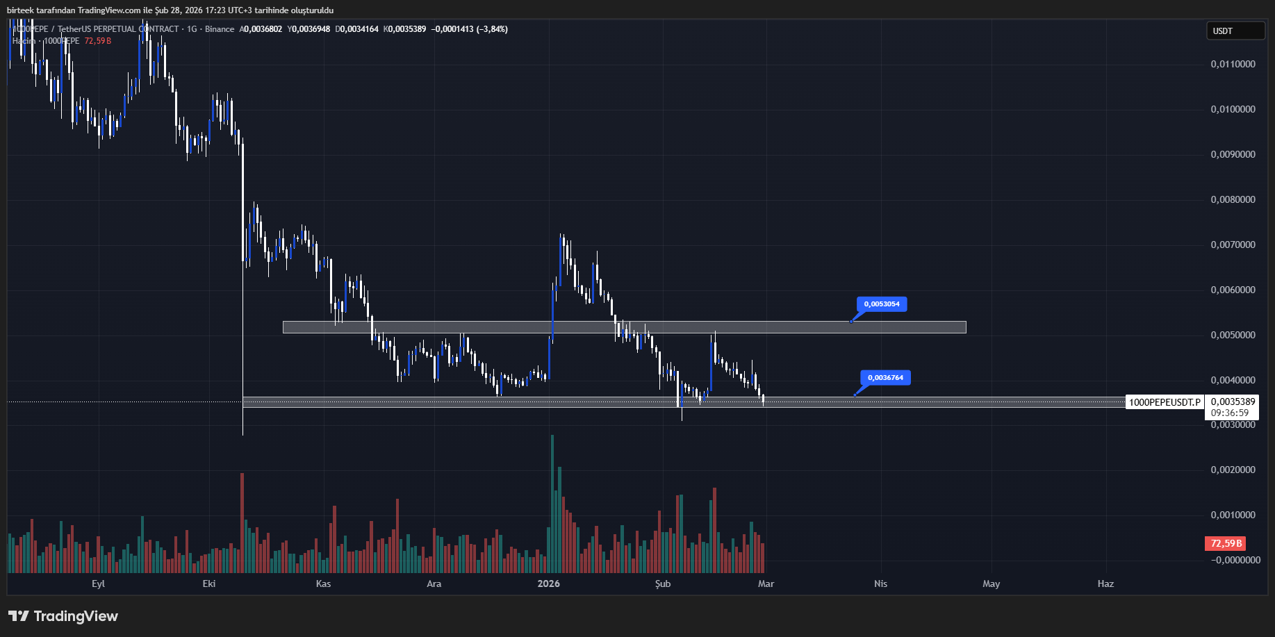 Pepe coin teknik analiz grafiği