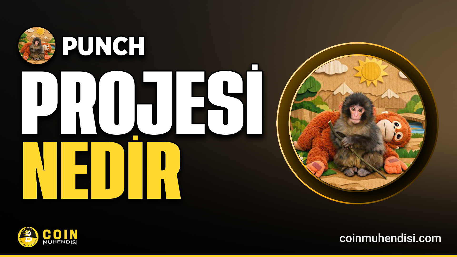 PUNCH Token Nedir?