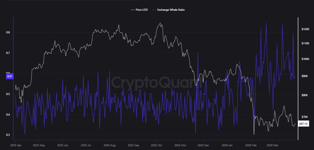 kripto verileri, bitcoin balina