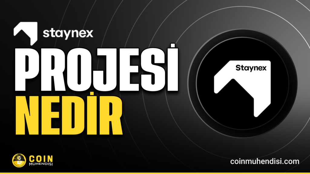 Staynex (STAY) Nedir?
