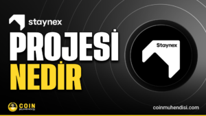 Staynex (STAY) Nedir?